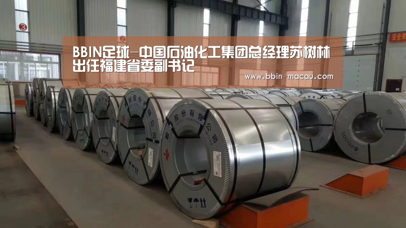 BBIN足球-中国石油化工集团总经理苏树林出任福建省委副书记(图3) BBIN体育