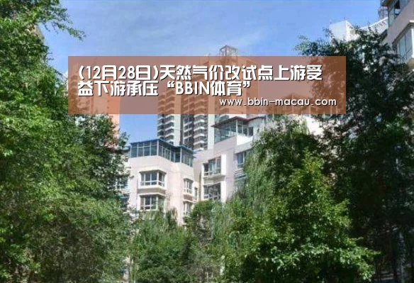 (12月28日)天然气价改试点上游受益下游承压“BBIN体育”(图2) BBIN体育