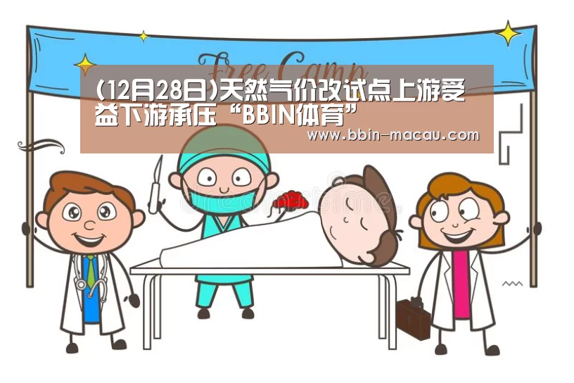 (12月28日)天然气价改试点上游受益下游承压“BBIN体育”(图1) BBIN体育